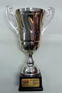 Kup hrvatske 2015