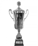 Državni kup