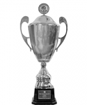 Regionalna liga
